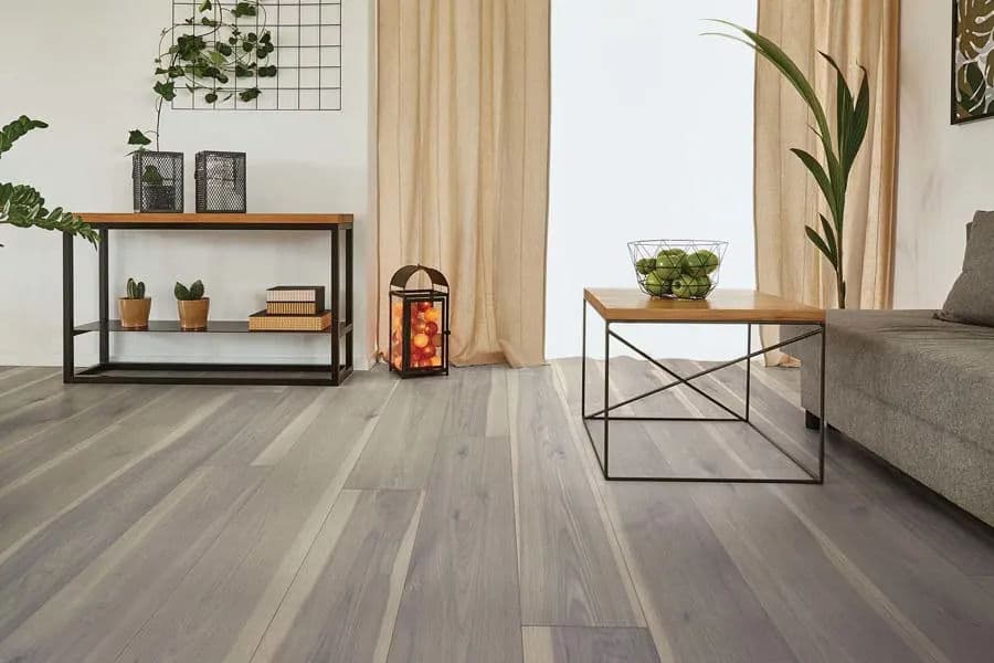 Modern living room with wooden flooring, stylish furniture, and decorative plants.