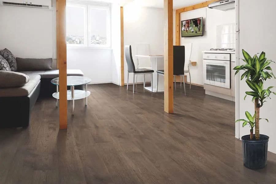 Modern living room with wooden floor, sofa, dining table, and kitchen area. Potted plant in corner.